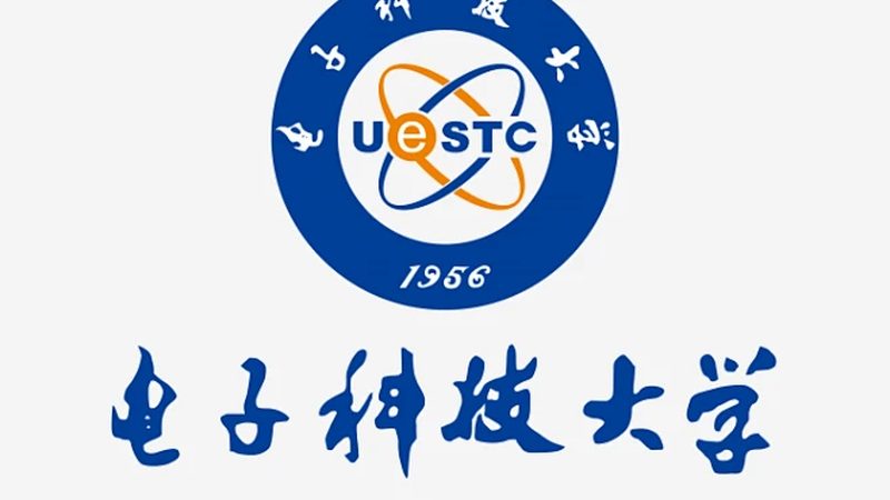 电子加工代加工：揭秘十大品牌背后的实力与选择